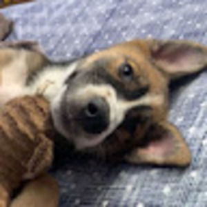 Meet your Posher, Maddox